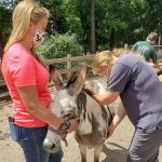 Abma Farm Donkey Abuse